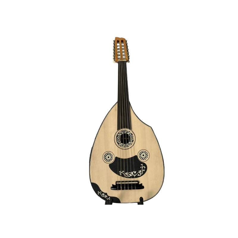 Oud E-Acoustique Fishman