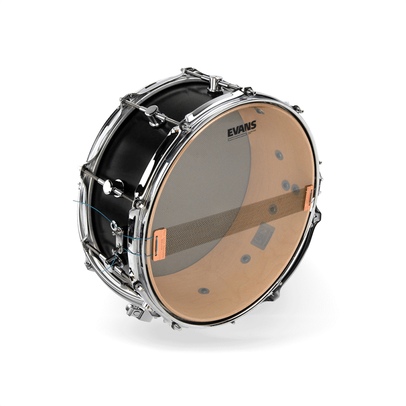 Evans  - Snare Drum Side 300 - S13H30