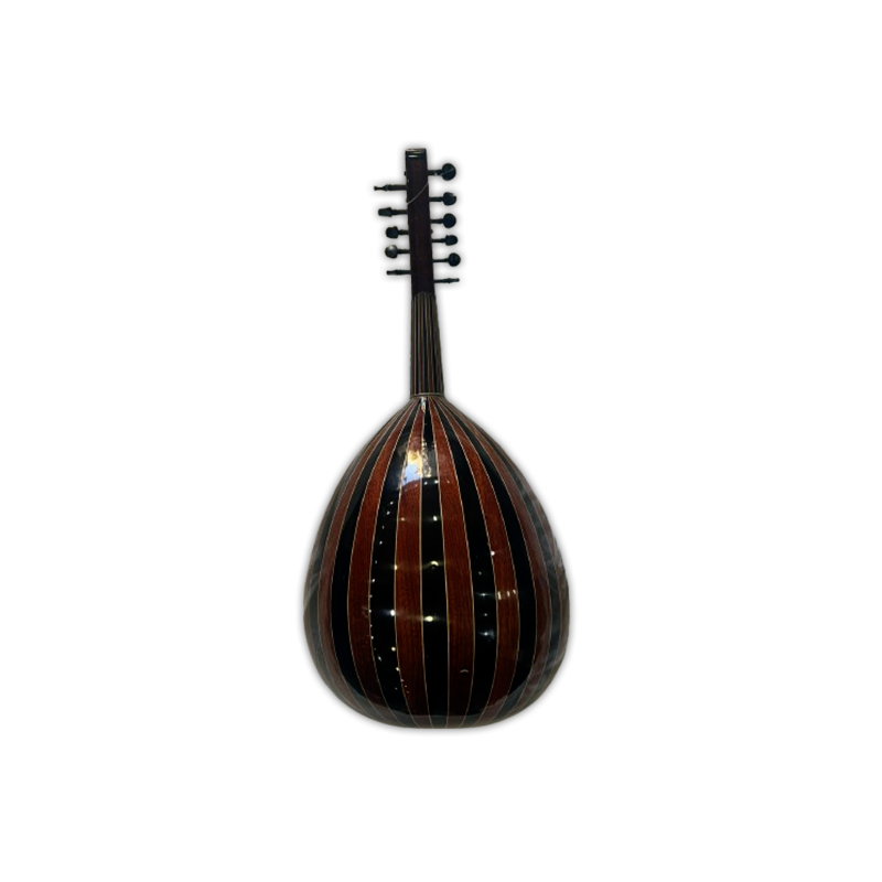 OUD acoustique-AN2