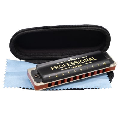 Harmonica blues... 2