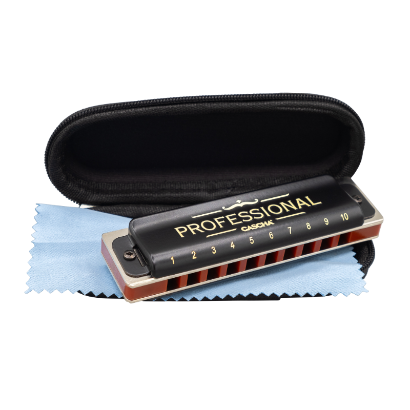 Harmonica blues professionnel en do...