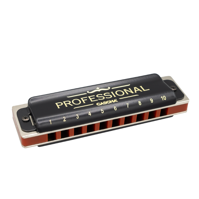 Harmonica blues professionnel en do...