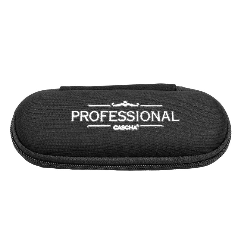 Harmonica blues professionnel en do...
