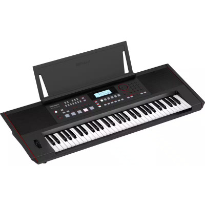 Roland E-X50 Clavier arrangeur 2