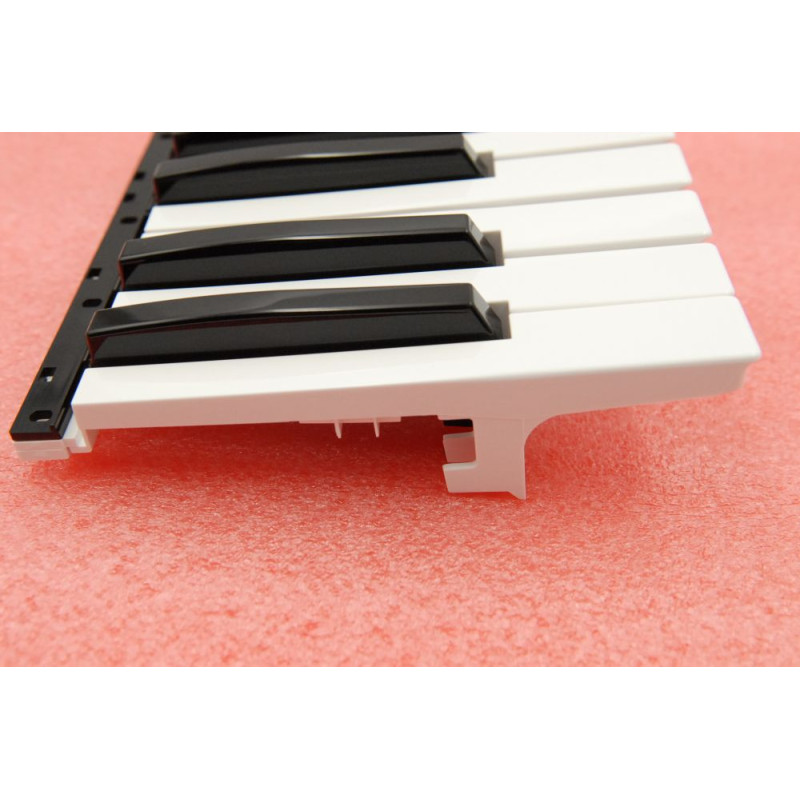 Korg peigne 12 touches pour clavier...