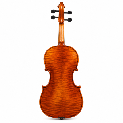 Violon classique acoustique... 2