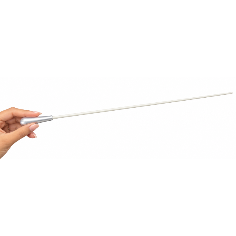 Baguette de chef d’orchestre 🎼