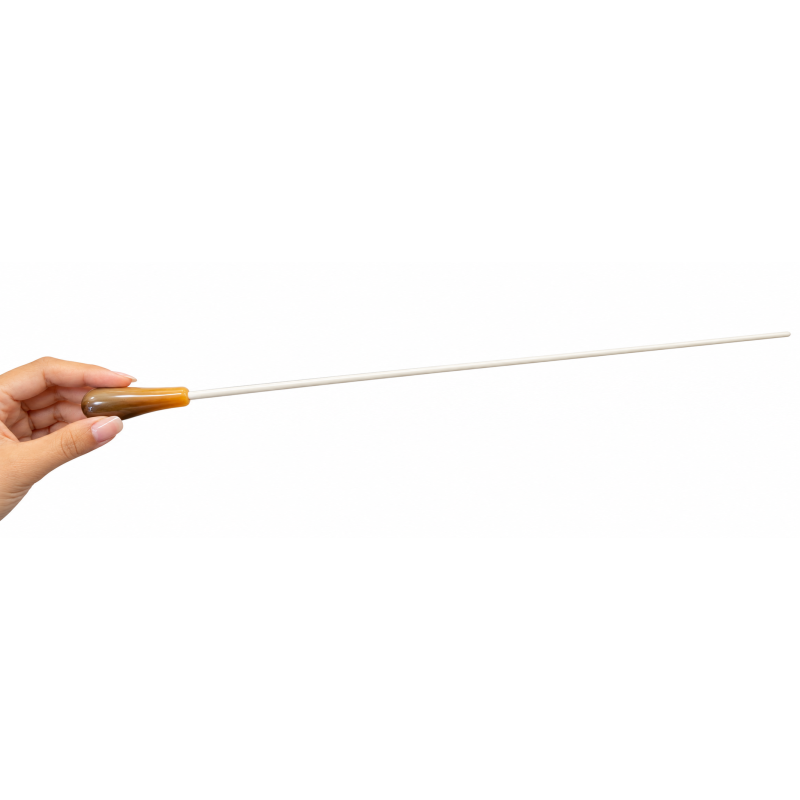 Baguette de chef d’orchestre 🎼