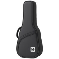 Étuis pour guitares
